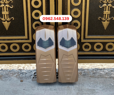 Mô tơ con rùa được ưa chuộng